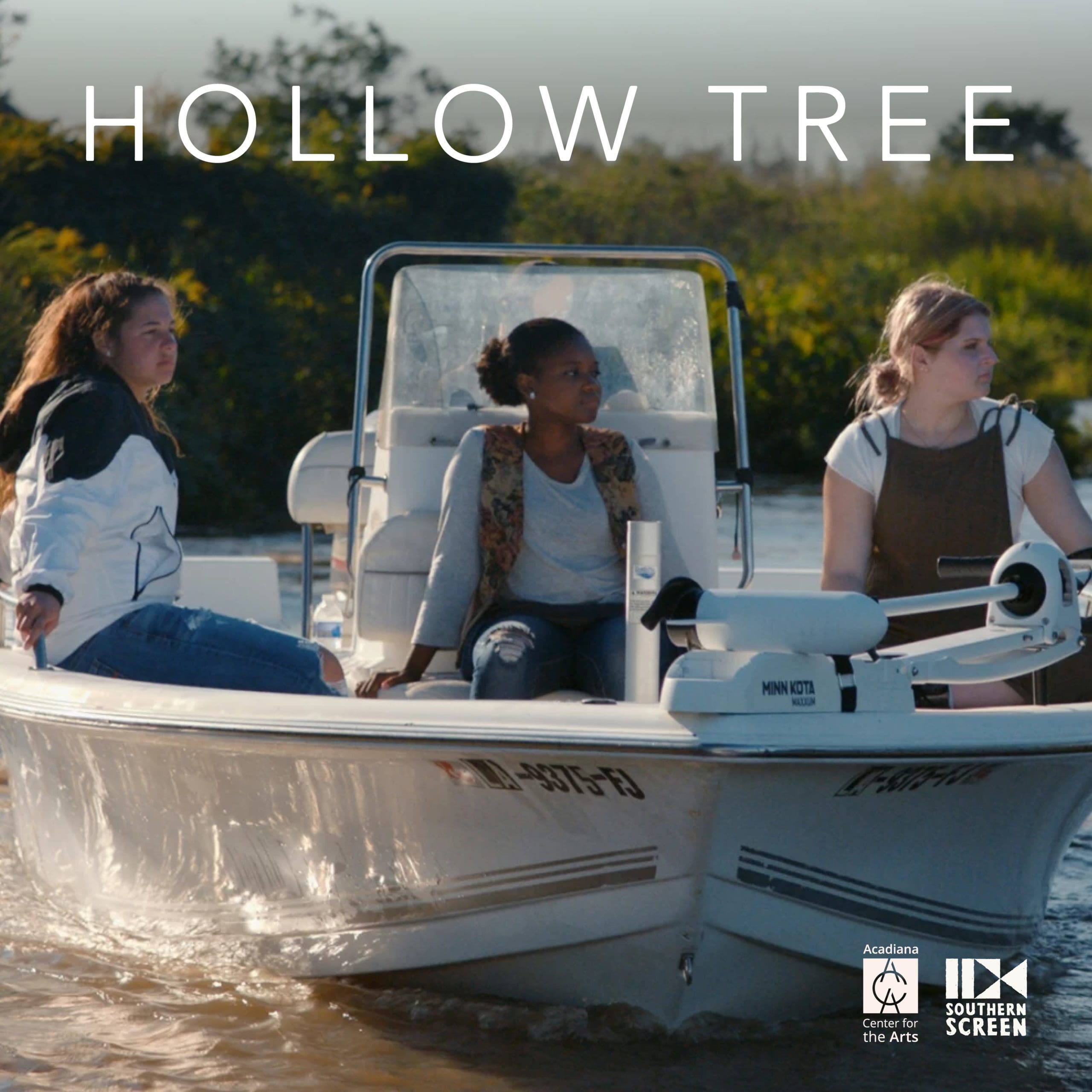 Hollow Tree Screening